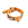 Halsband Ungarn orange Gr. 21