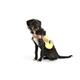 Gilet lumineux chien LED S | Bild 3