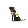 Gilet lumineux chien LED XXS